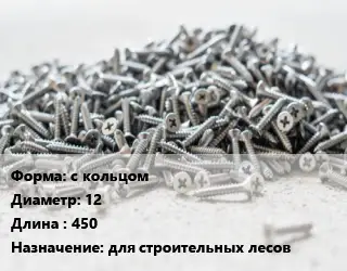 Шуруп с кольцом с кольцом 12х450 для строительных лесов